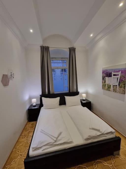 Sissi Royal - Inner 4 Bedroom Apartment Wien